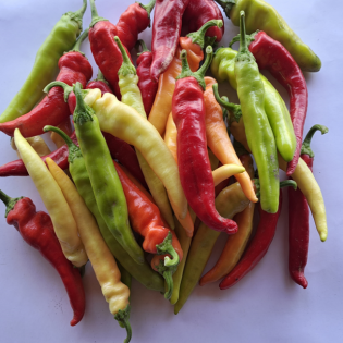 «Հայկական բադրիջանի, տաքդեղի, պոմիդորի հինավուրց (լանդրաս) հավաքածուի իրականացում ճկուն գյուղատնտեսության համար»